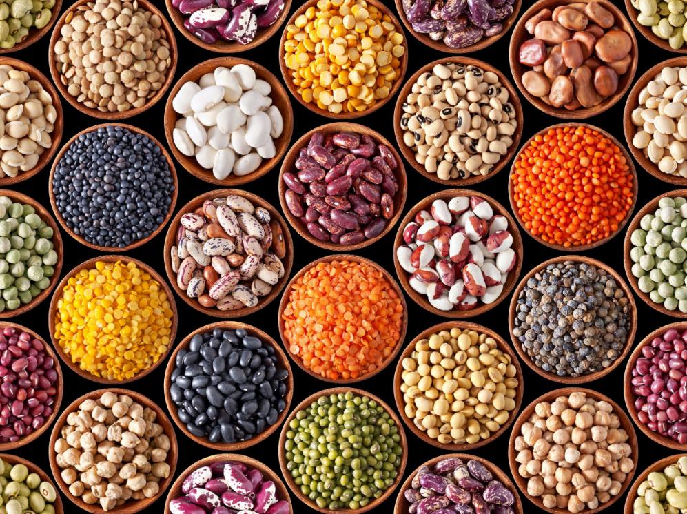 Seeds – Subhan Bazar